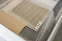 o.T. – Drehergewebe